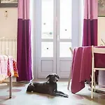 Casa Dani&Swing Bed&Books Bed & Breakfast